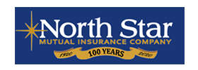 North Star Ins Co