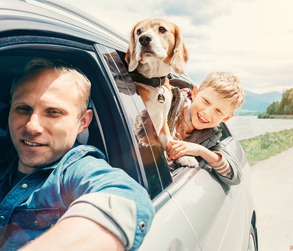 Minnesota Autoowners with auto insurance coverage